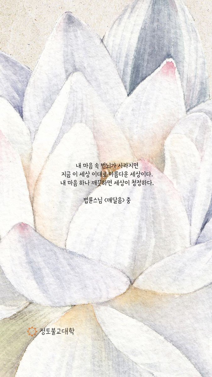 이원경 tweet media