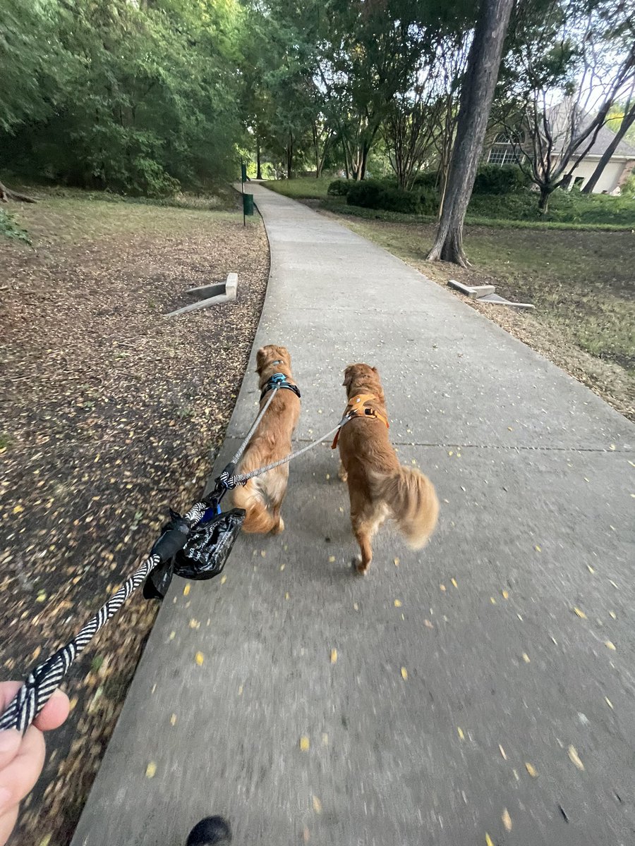 Wrigley and Emmy are all in on Day One of their new reality. Let’s roll!