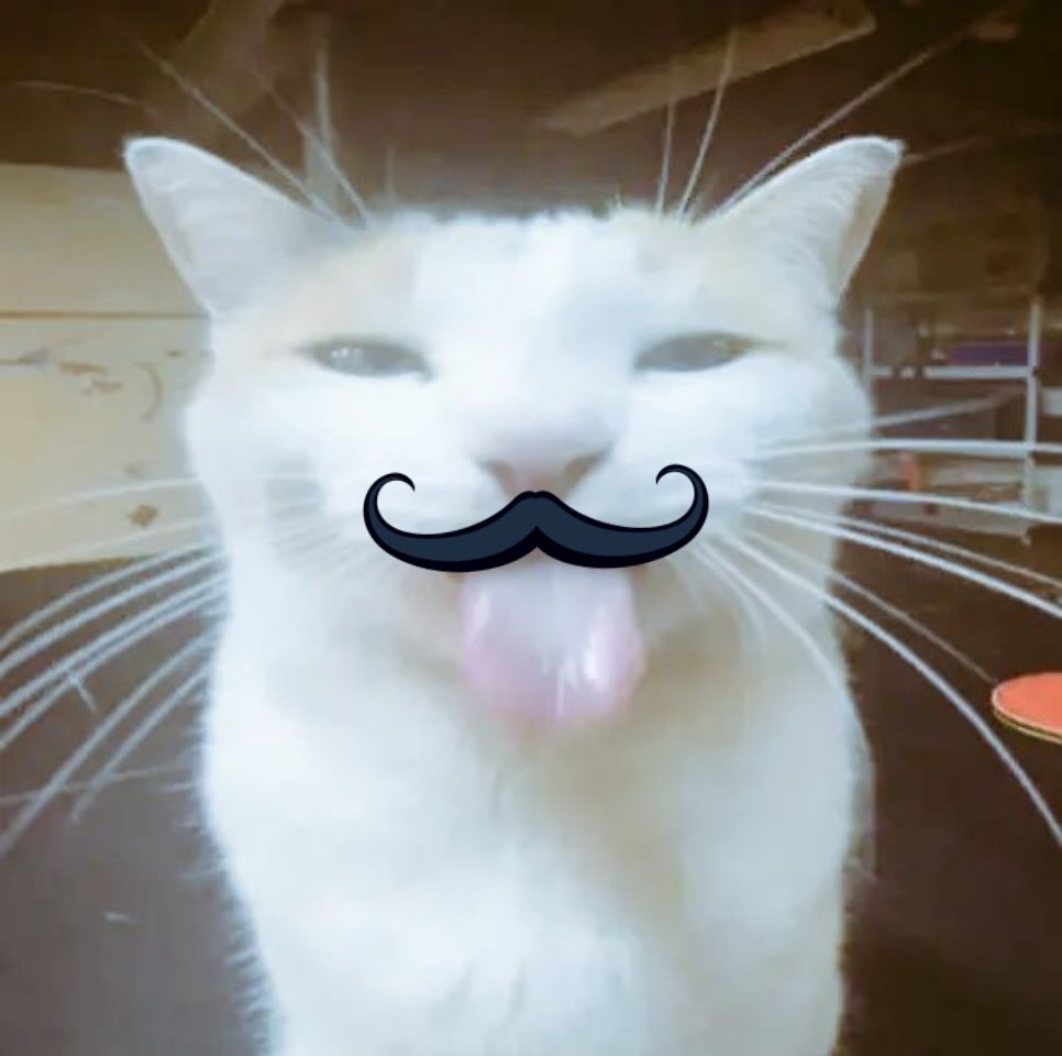 InsaneCattz's tweet photo. https://t.co/WK5QD0LIsd