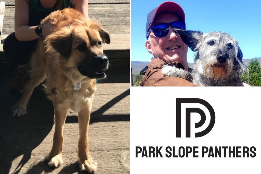 nypost's tweet photo. NYC group forming Guardian Angels-style patrol to protect pets after Prospect Park attack https://t.co/VVxgAAfqji https://t.co/89xyhLgXB6