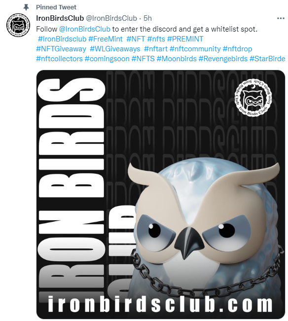 jing38445101's tweet photo. @MrGivaways @champtu @IronBirdsClub VS @moonbirds https://t.co/Gval003iwi