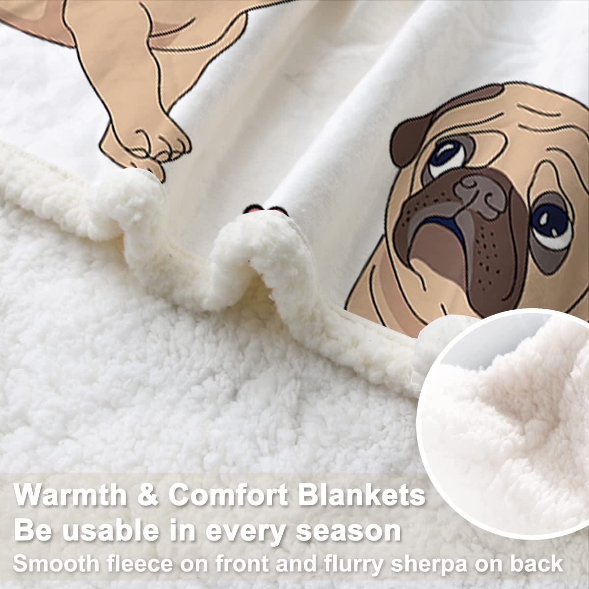 dropshipful tweet picture