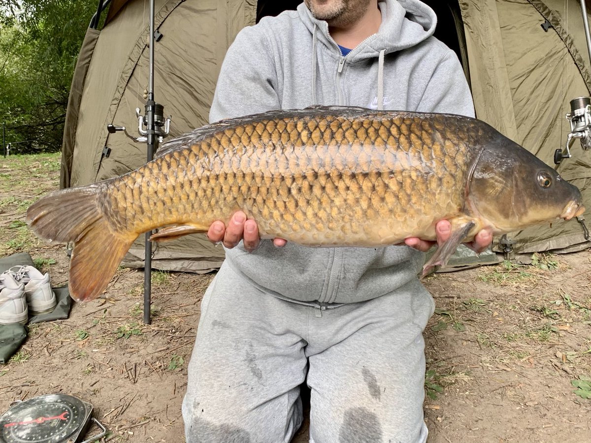 AaronKe39988631's tweet photo. Saved a blank well happy with this one, pressure was high didn’t look good for a bite. #Nashbaits # Scopexsquid https://t.co/m9lYL2Lsqm