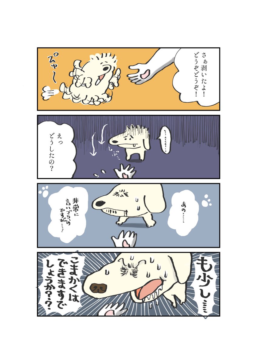 うちの福ちゃんはとってもお上品です 