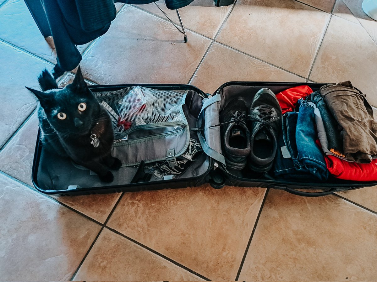 RobinsonYolandi's tweet photo. Packed and Ready for the Next Conference ✈️ #SAFNOG7 https://t.co/b2DyrFd9ol