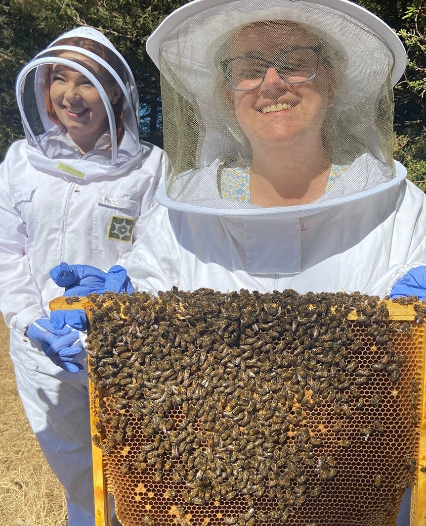 CrownPartner's tweet photo. We're busy bees at Crown HQ at the moment but we've recently introduced bee hives too to promote sustainability and home grown produce and it seems to be going very well!

#BeeHive #BeeKeeping #HomeGrownProduce #FreshProduce #Sustainability #Honey https://t.co/9fimge7zfy