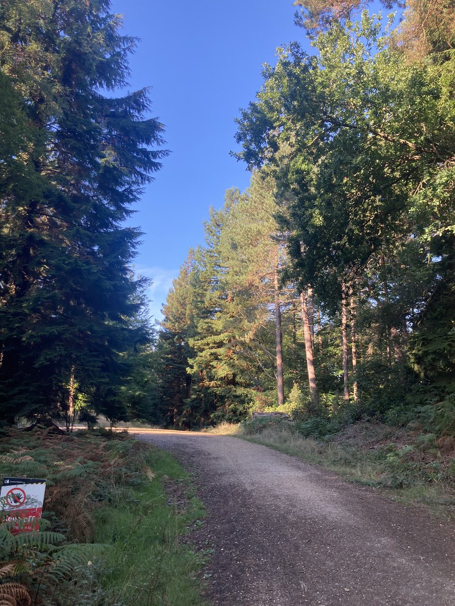 Jon_Para_ODP's tweet photo. 7 mile buggy run this morning with a stop off at the swings! 😍beautiful morning and nice to get 7 miles under the belt before starting the new job tomorrow! #southamptonrunning #buggyrunner #run #runner https://t.co/ZAu3eIf1jv