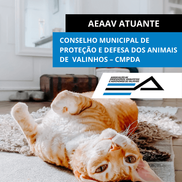 aeaavalinhos's tweet photo. A AEAAV participa dos Conselhos Municipais de Valinhos que tratam de assuntos correlatos à Engenharia, Arquitetura, Agronomia e demais áreas das Geociências

#trabalhovoluntário #profissionaisunidos #AEAAVatuante #venhaparticipar #associe-se #conselhosmunicipais #CMPDA #Valinhos https://t.co/r3pAX9BYO6