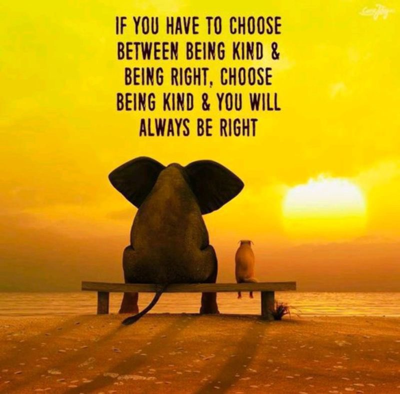 Make the right choice!

Choose #kindness for the ‘win’ every single time! 😁