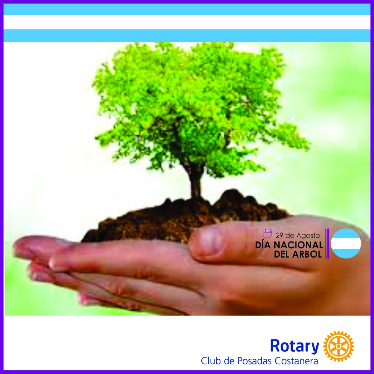 Rotary Club de Posadas Costanera tweet media