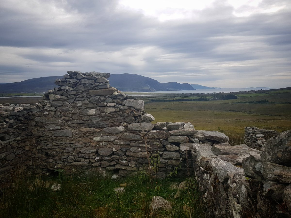 Matthew Laming tweet media