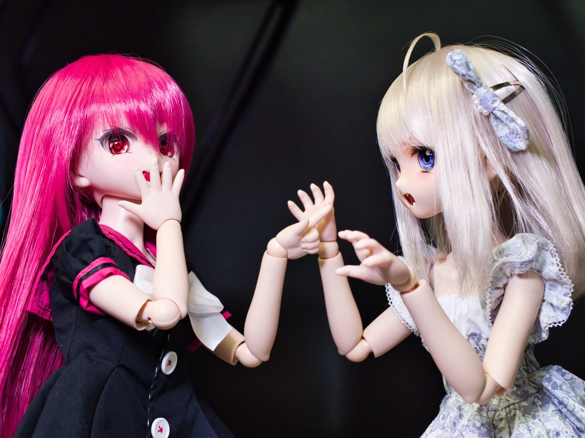 TY14_asaki's tweet photo. #DOF18
うちのと一緒に撮らせてもらった写真から
皆さまありがとうございました! https://t.co/9OSsTJ9ZWB