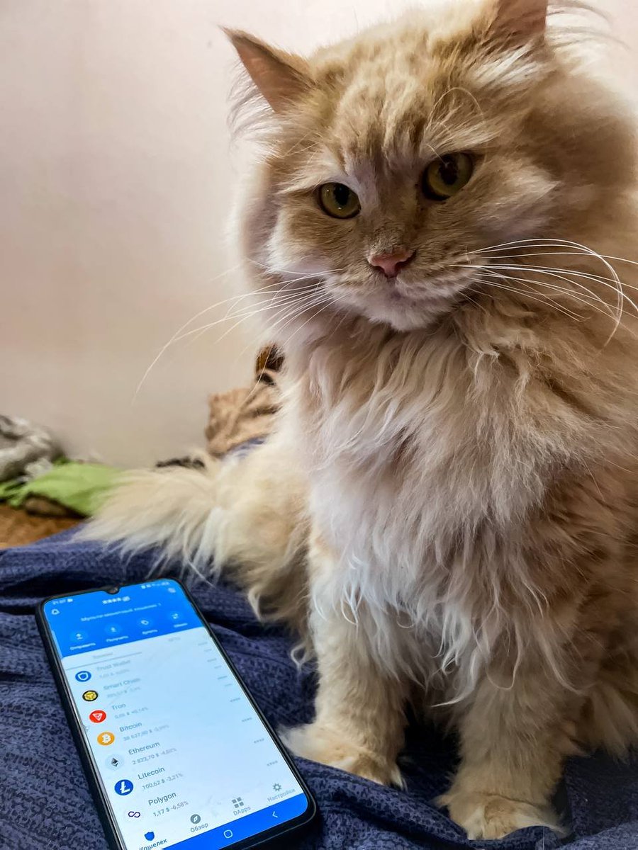 Trust Wallet tweet media