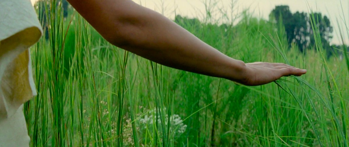 WorldCinemania's tweet photo. 'The New World' (2005)

Directed by Terrence Malick https://t.co/YRpT0Z2vjW