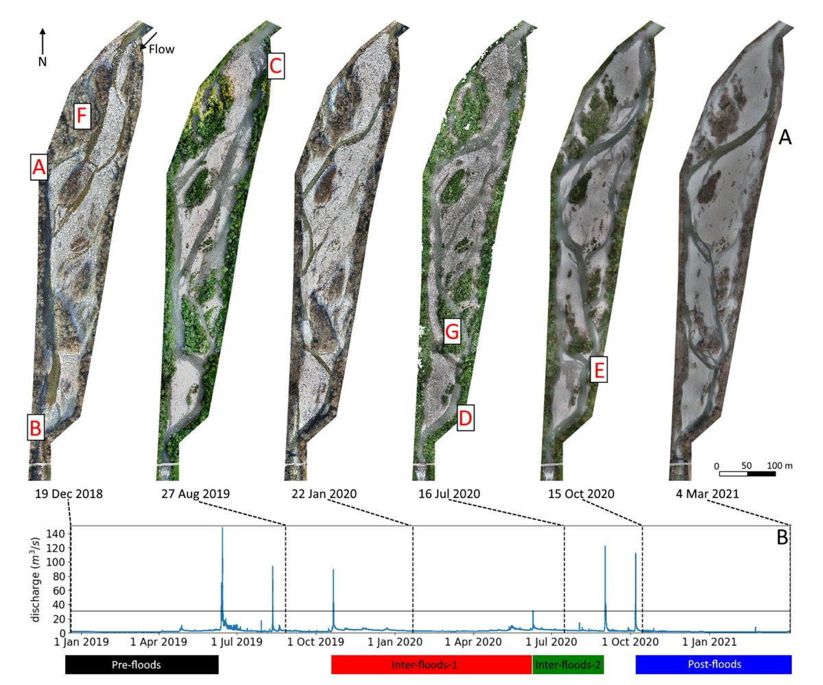 Davide Vanzo tweet media