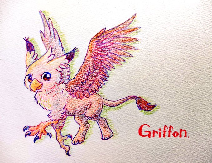 #デザ筋フィットジムお邪魔しますうちのグリフォンちゃんの筋肉を褒めて頂きたいです!笑 