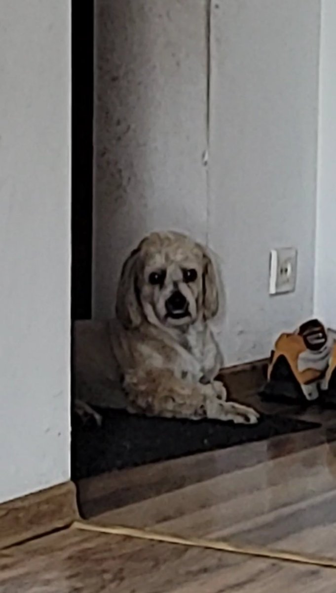 kaszual unchained tweet media