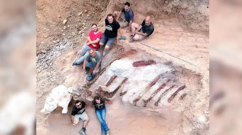The Weather Channel India (@weatherindia) on Twitter photo In 2017, a man in Portugal accidentally unearthed some giant bones from his own backyard.
Now, analysis of those remains indicates they belong to the largest #dinosaur ever found in Europe!
Read: weather.com/en-IN/india/sc…
By: <a href="/anujav_97/">Anuja Vartak</a>
📸: <a href="/IdlLuiz/">IDL - Instituto Dom Luiz</a>
🧵👇 In 2017, a man in Portugal accidentally unearthed some giant bones from his own backyard.
Now, analysis of those remains indicates they belong to the largest #dinosaur ever found in Europe!
Read: weather.com/en-IN/india/sc…
By: <a href="/anujav_97/">Anuja Vartak</a>
📸: <a href="/IdlLuiz/">IDL - Instituto Dom Luiz</a>
🧵👇