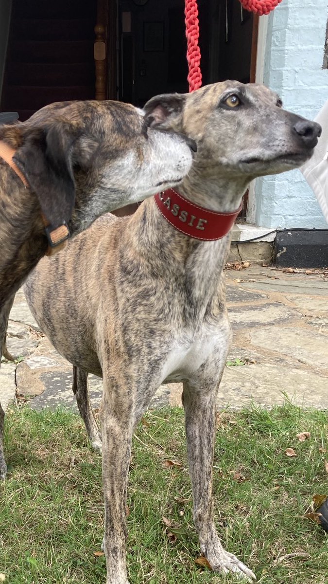 John Cooper tweet media