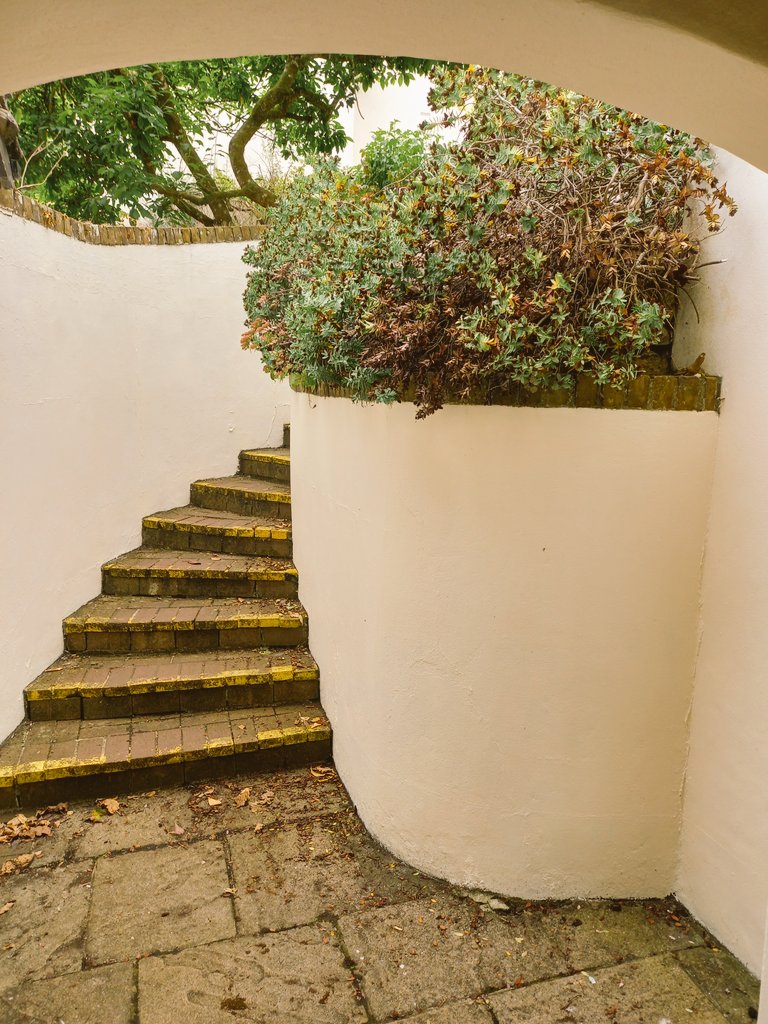 WesWeeks tweet media