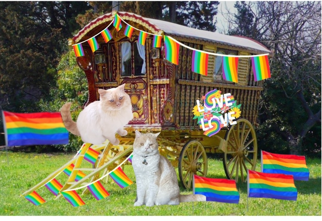 Marie B & the Rebel Raggie Crew tweet media