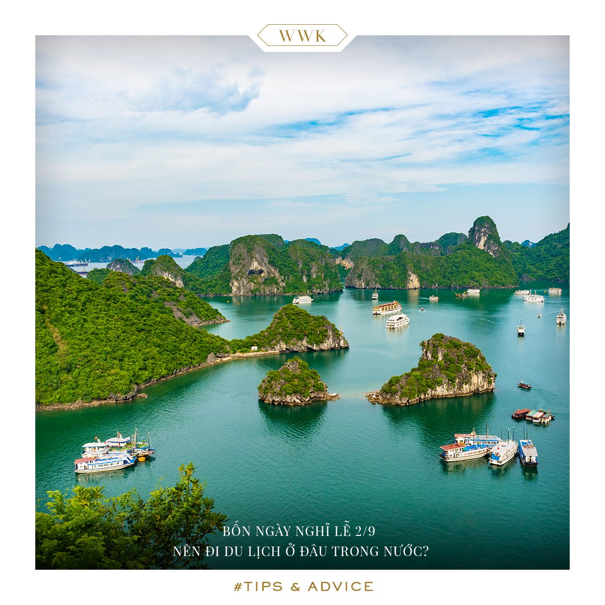 WOWWEEKENDVN's tweet photo. Nếu như bạn vẫn còn đang phân vân chưa biết nên dành kỳ nghỉ lễ 2/9 của mình ở đâu, thì WOWWEEKEND sẽ gợi ý đến bạn một số địa điểm từ Bắc chí Nam để bạn tham khảo nhé!

📌 Xem chi tiết tại đây: https://t.co/w8V4u64NqC
#WOWWEEKEND #WWK #DULICH https://t.co/PFkP1ON1lT