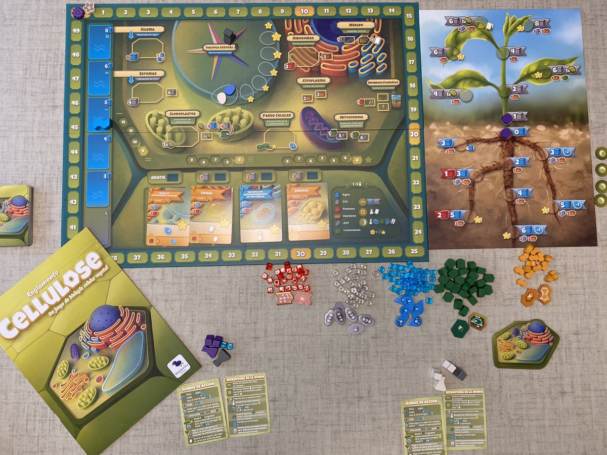 HectorRodSanz's tweet photo. Ya tengo todo listo para empezar a jugar a #Cellulose de @MasQueOca un juego de #BiologiaVegetal con sus carbohidratos, enzimas y HORMONAS!! A ver si soy el jugador que más hace crecer la planta.
@bioamara creo que te encantaría echar una partida https://t.co/ZN7cenPNDT