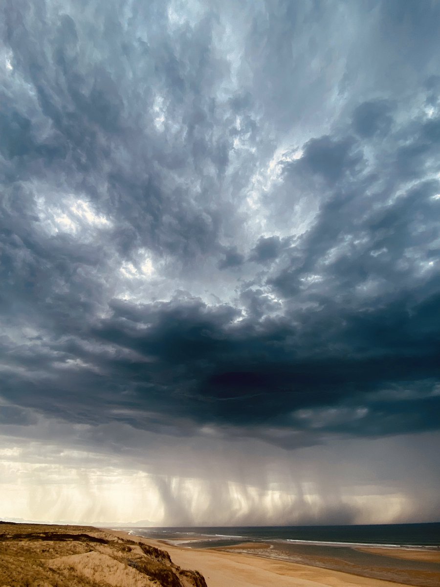 PierreAlex tweet media