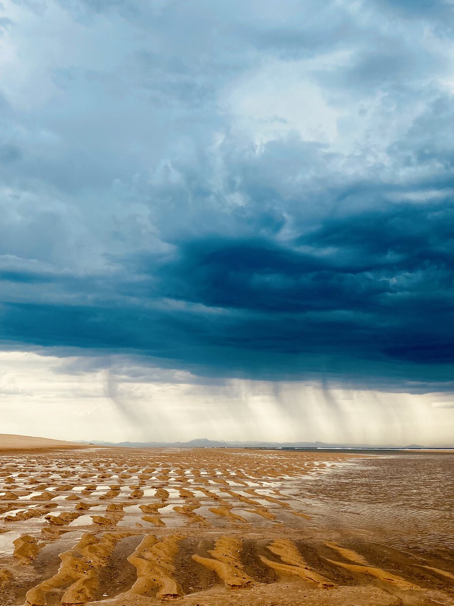 PierreAlex tweet media