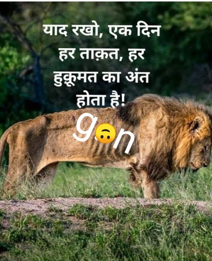 Kartikeshwar Chandrakar (@kartikeshwarc10) on Twitter photo 