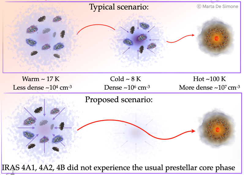 astrodesim's tweet photo. We constrained the dust temperature at the mantle formation time to be ~17K (quite warm for this stage). 
We concluded that a brutal event started the collapse that eventually formed the three protostars, which,therefore, did not experience the usual pre-stellar core phase. https://t.co/c0fz9t4BvL