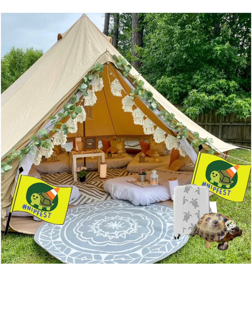 Gladys Beak 🐢 tweet media