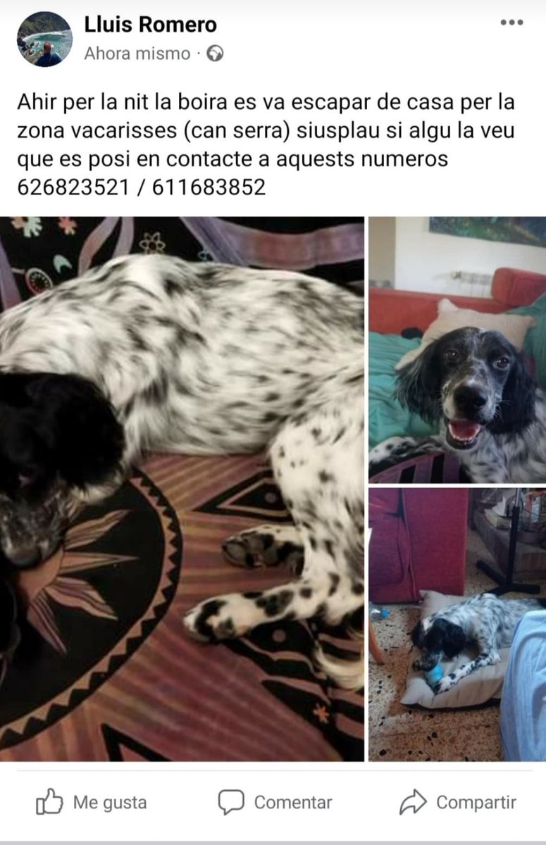 mjfsantcu |*| ✊ tweet media