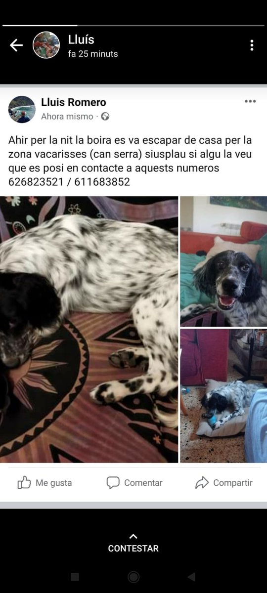 Marta **Viafora** tweet media