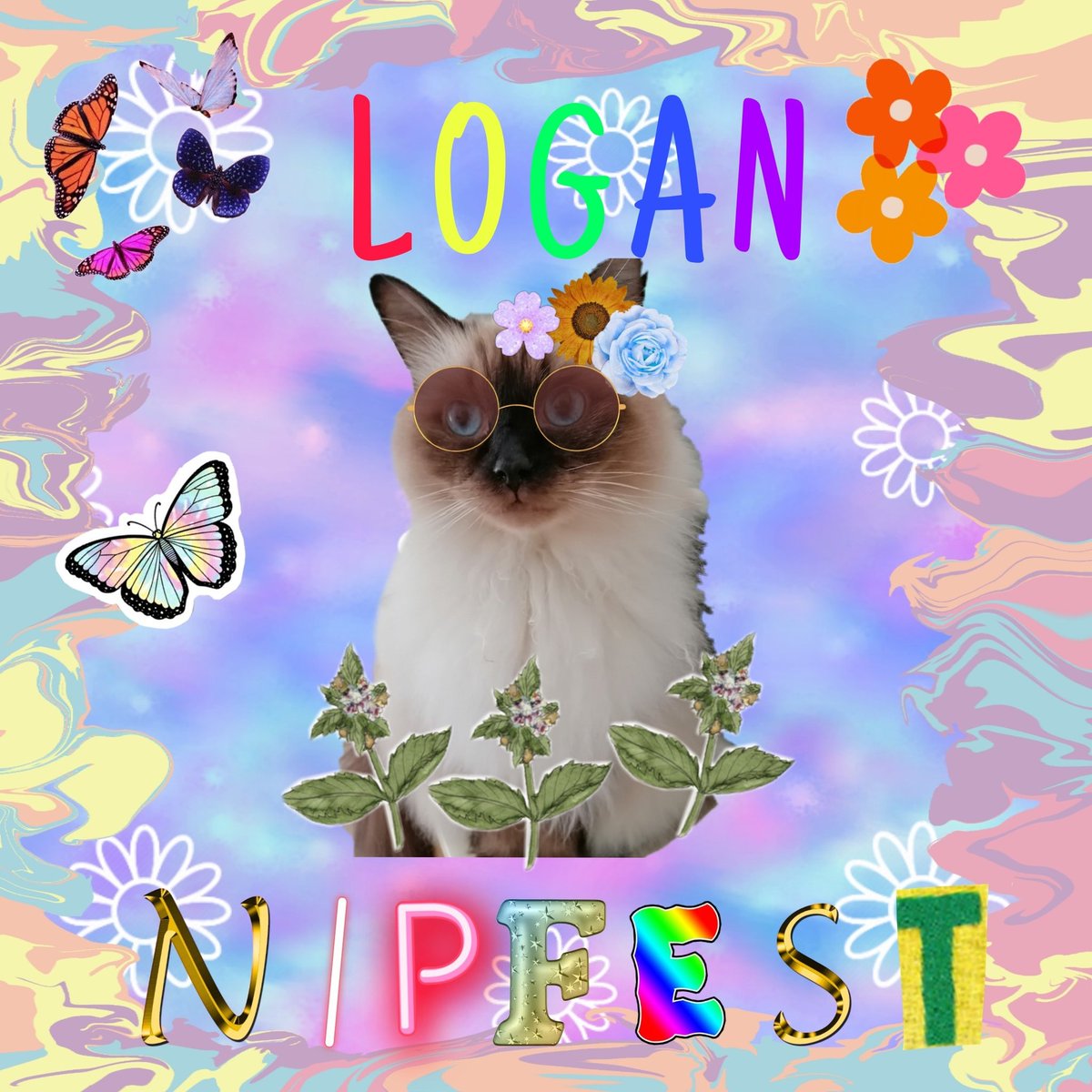 Marie B & the Rebel Raggie Crew tweet media