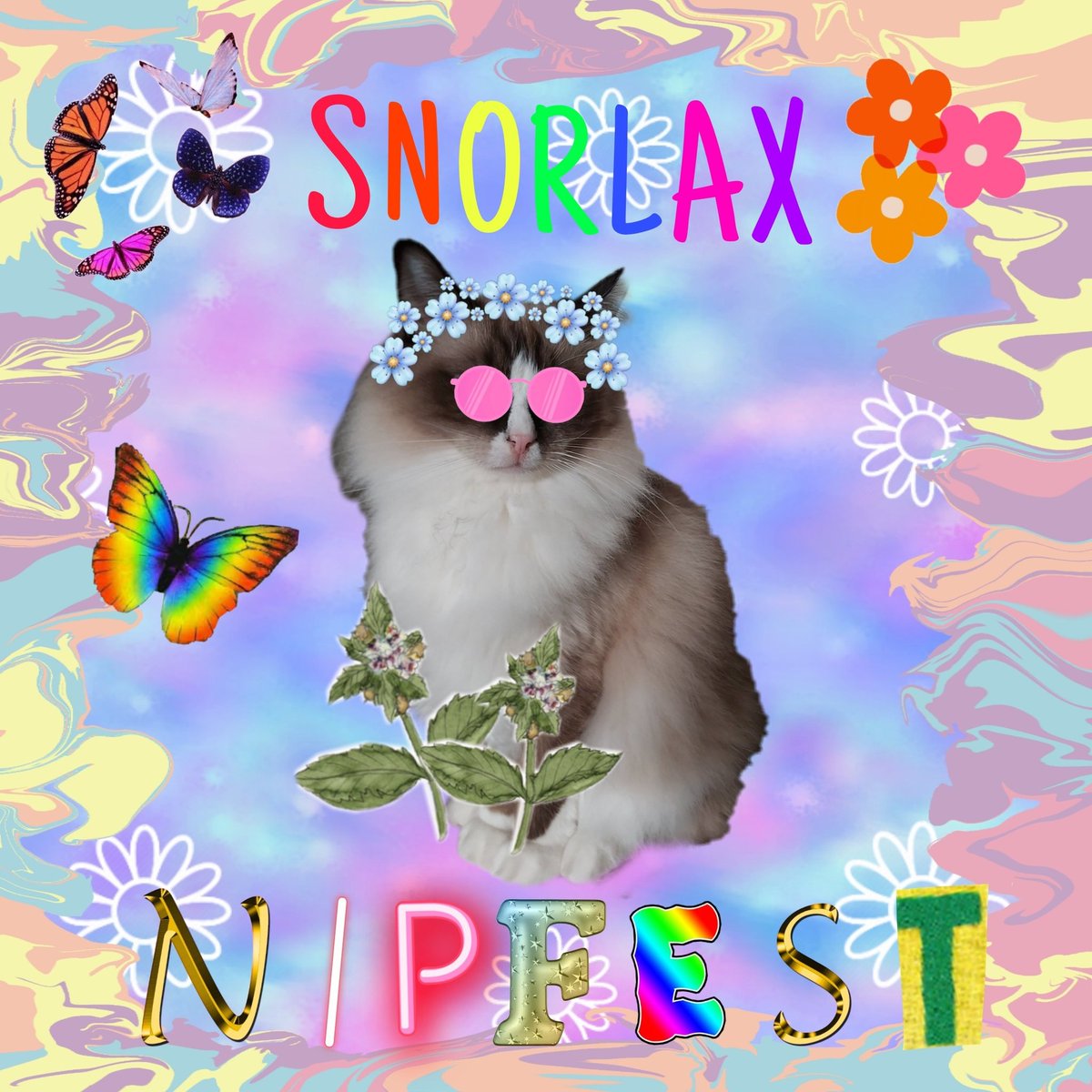 Marie B & the Rebel Raggie Crew tweet media