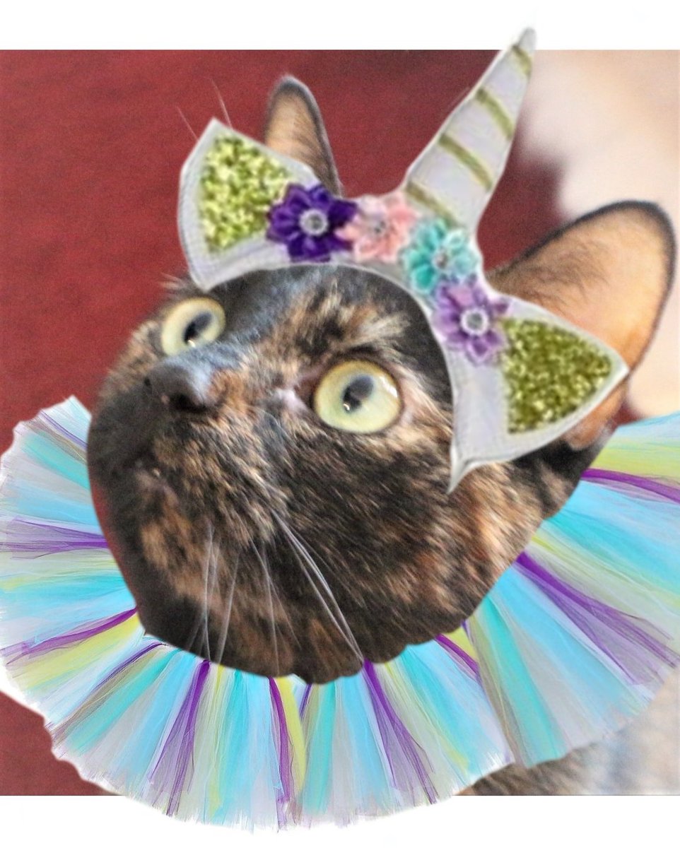 Marie B & the Rebel Raggie Crew tweet media