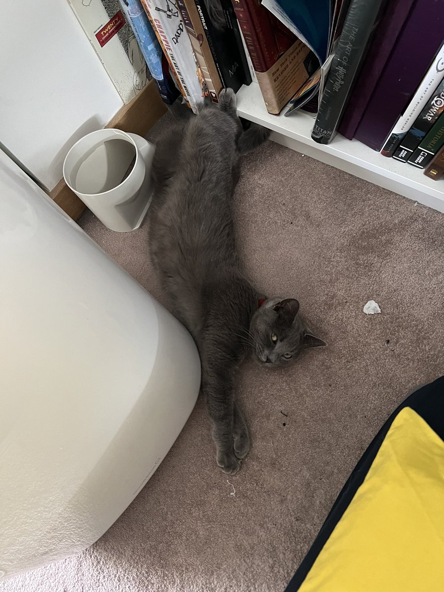 Hi, how’s everyone’s lazy Monday?

Fasprinting.co.uk