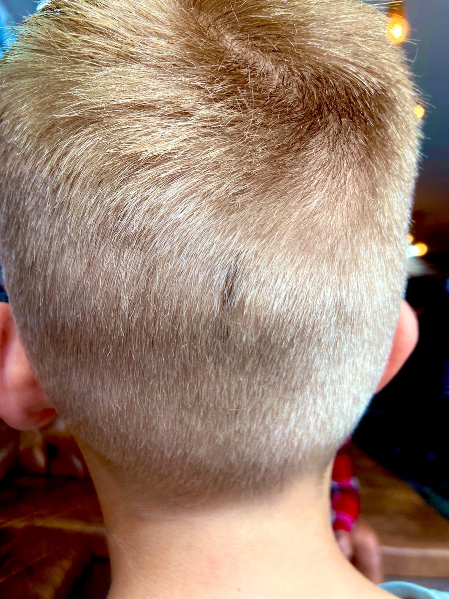 Katie Wade tweet media