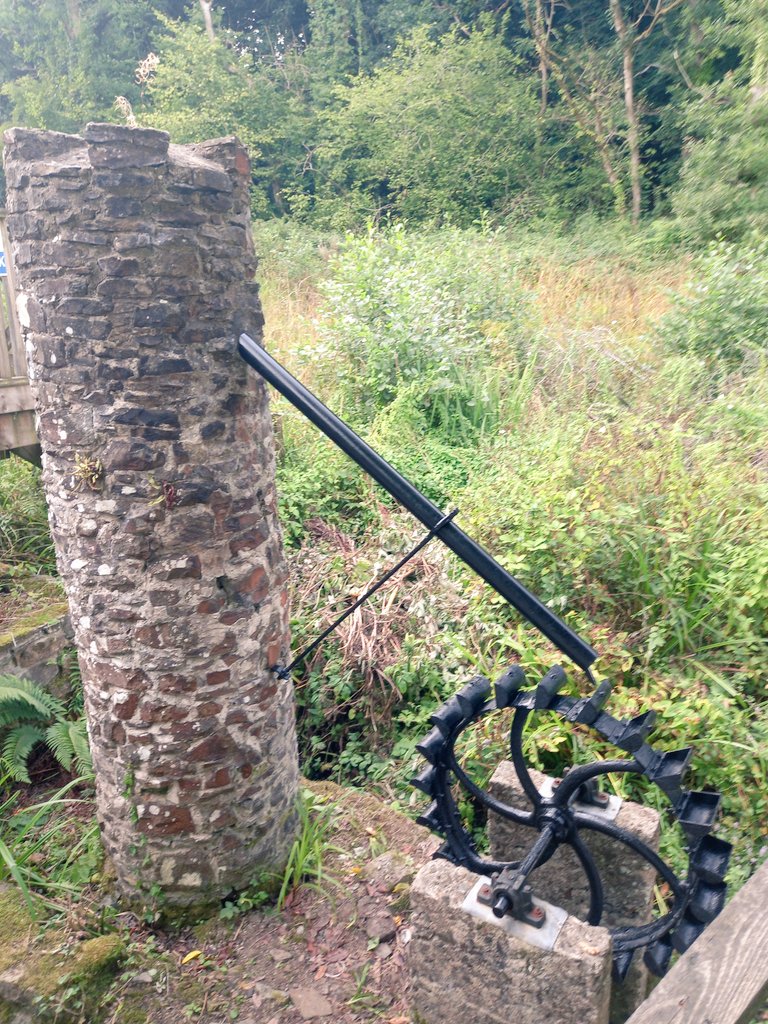 WesWeeks tweet media