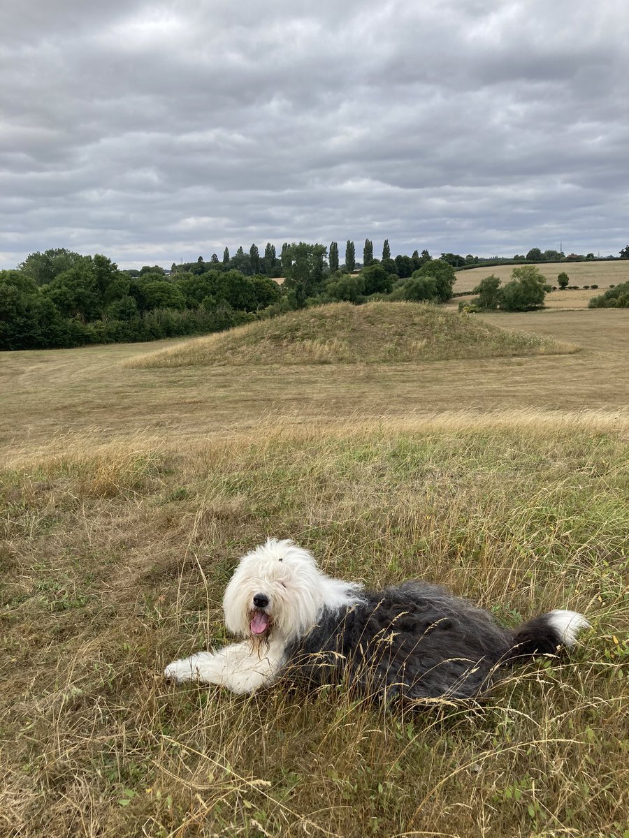 The sheep have been moved and the grass has been mown. Finally, I’m back at my favourite ancient monument! #MonumentMonday ⚱️🐾
