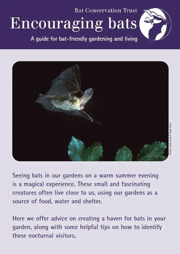 Bats are a sign of a green and healthy environment, so creating a garden that's good for bats will also be good for people. There are lots you can do turn your garden into a bat haven. Have a look at this page: buff.ly/2HkKSuq