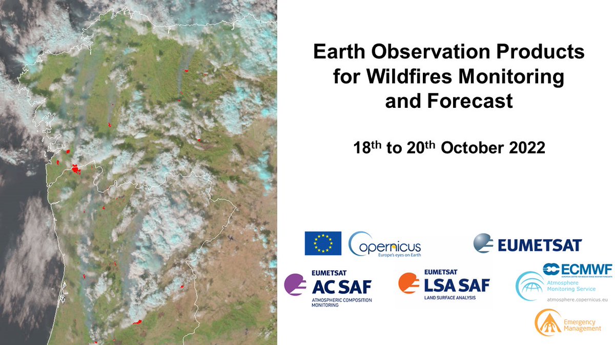 🔥<a href="/AfanUcpm/">Advanced Fire Analysis Network</a> will participate in the workshop "Earth Observation Products for Wildfires Monitoring and Forecast"

📆October, 18th-20th
📍Online and #F2F in Lisbon

You can register here📲training.eumetsat.int/course/view.ph…