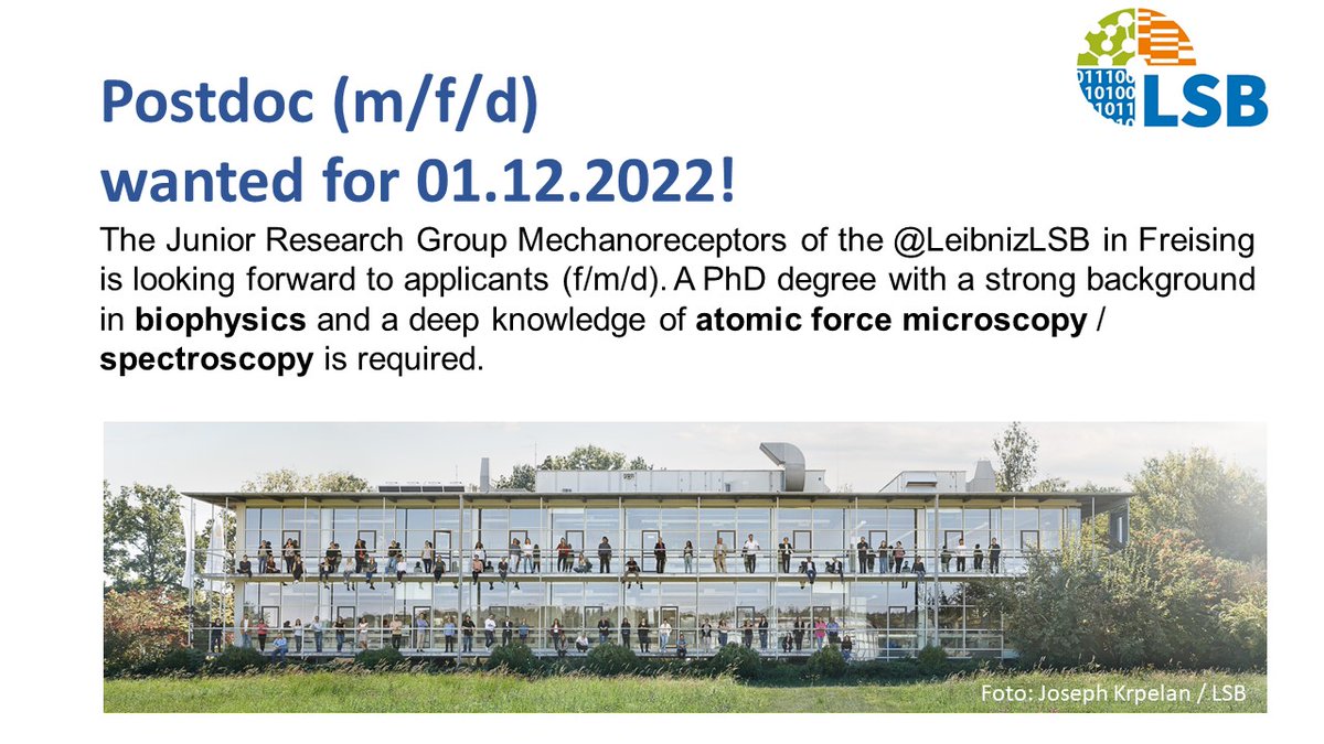 LeibnizLSB's tweet photo. The Junior Research Group Mechanoreceptors @LeibnizLSB is currently looking for a Postdoctoral Scientist (m/f/d)  to start on 01.12.2022 (100% TV-L 13). The position is to be filled for a period of 2 years. 
https://t.co/XJIoFhPpti
2022-09-S2-MK
@melli_koehler https://t.co/mbx46dAEjd