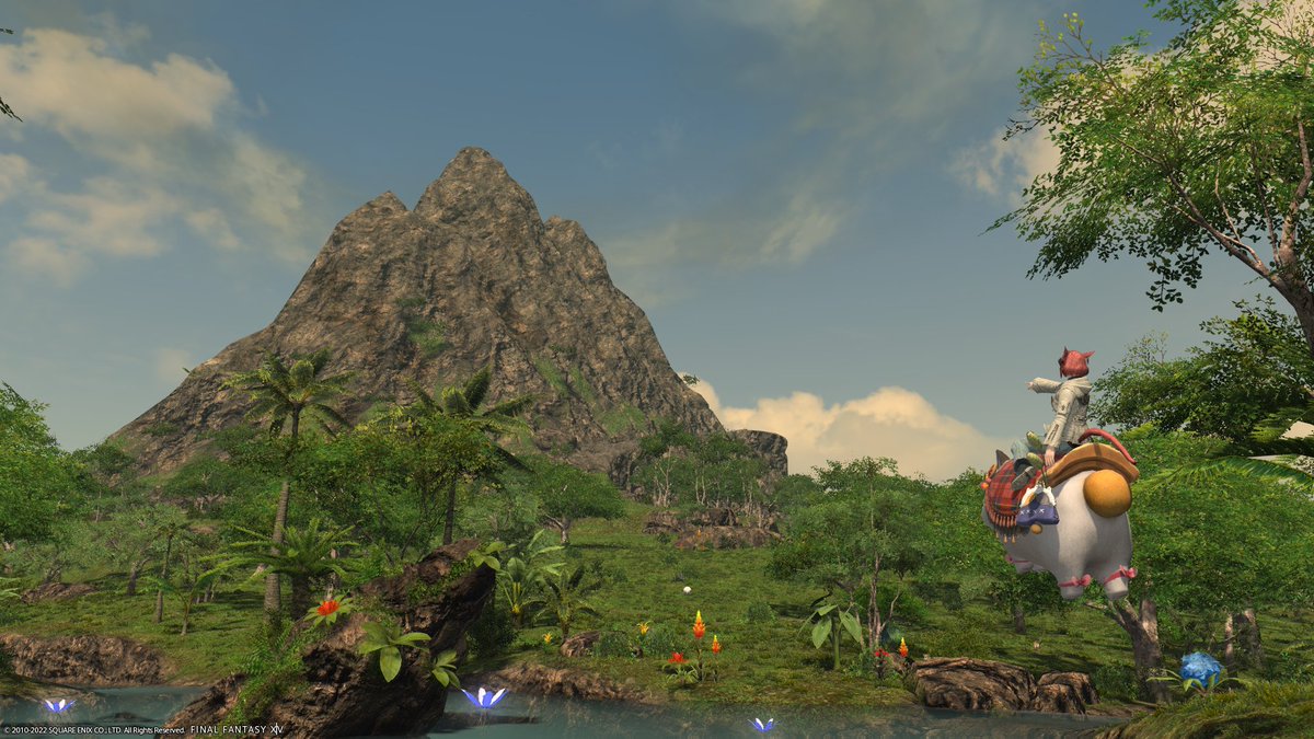 _FF14_account's tweet photo. いざ、未開の地へ！！(; ･`д･´)」
＃Freedの日常 https://t.co/5d1MGt3xSA