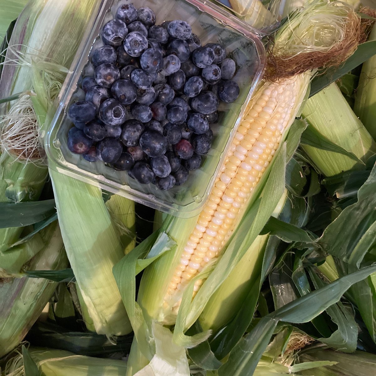 wrightbees's tweet photo. Another beautiful late summer day to enjoy the fresh produce in season now. The upicks for blueberries and currants and the market are open today from 9-6 with lots of our own fresh produce available. Stop by and grab some of that goodness! #nlwrights #alwaysfreshalwayslocal https://t.co/tlgQxMSFga