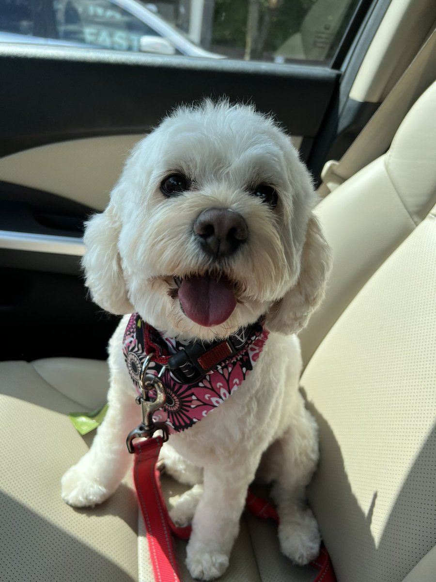 ELIZABETH SNEAD tweet media