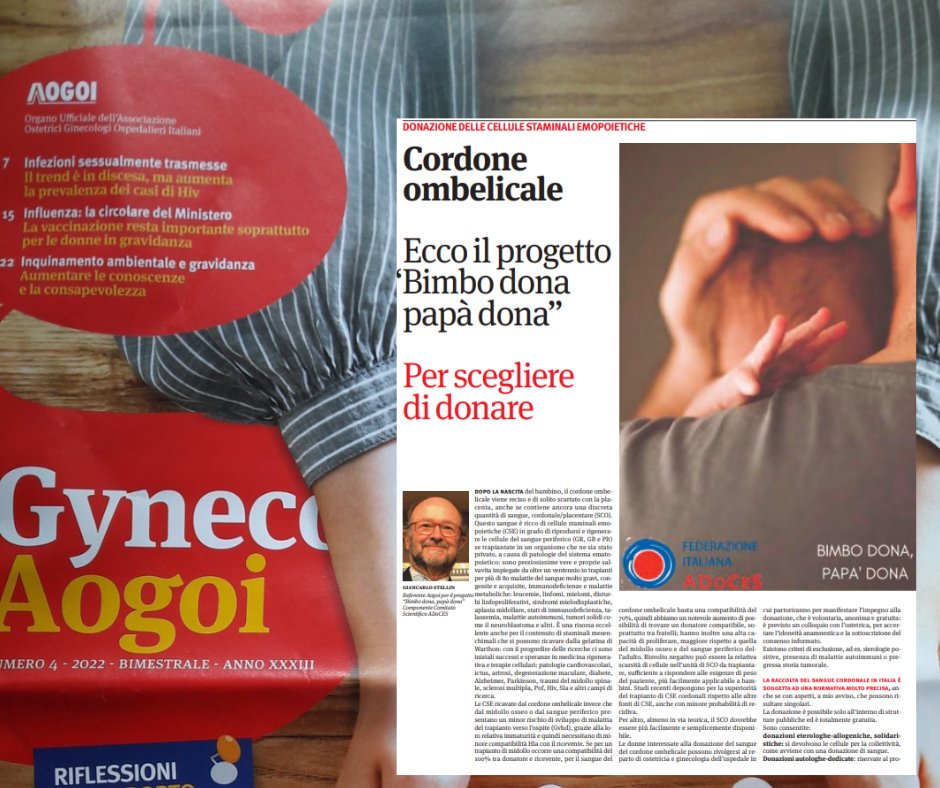 AdocesItaliana's tweet photo. AOGOI a fianco di ADOCES Rivista scientifica GYNECO AOGOI n. 4 2022.
#AOGOI #bimbodonapapadona #GITMO @CentroSangue @CNTrapianti #FNOPO #Simti
https://t.co/VGuJlG2mUR https://t.co/4WWJG6GG2n