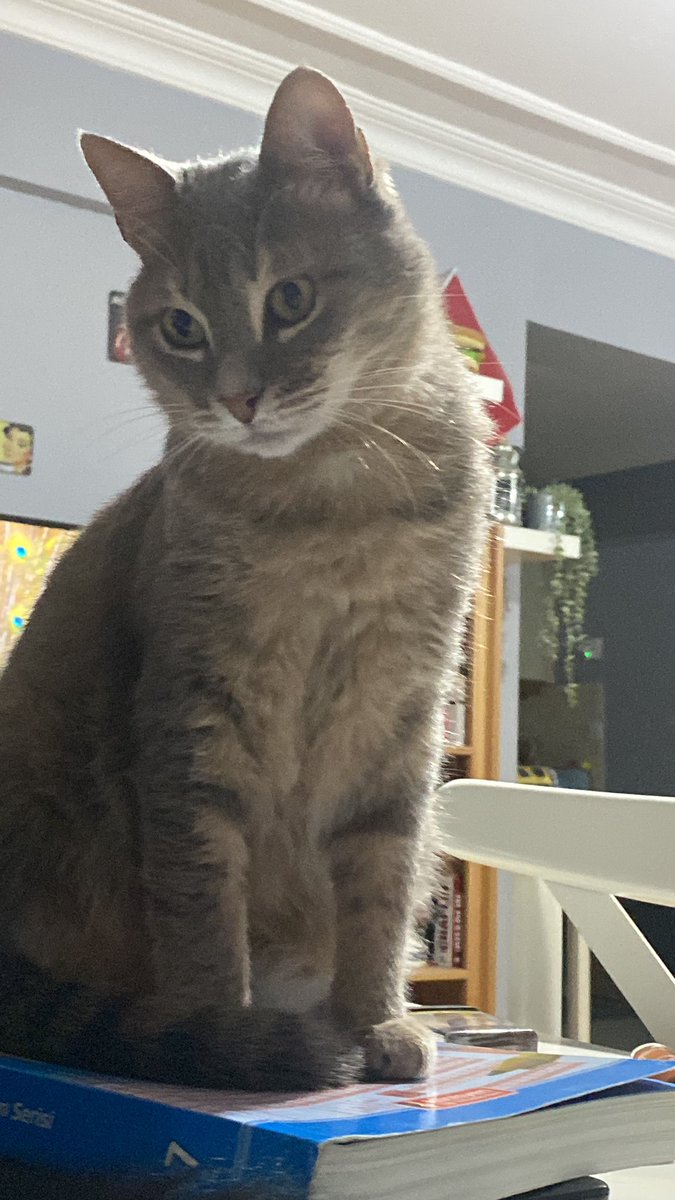 Bu yaz evlenmeyen kaldı mı?