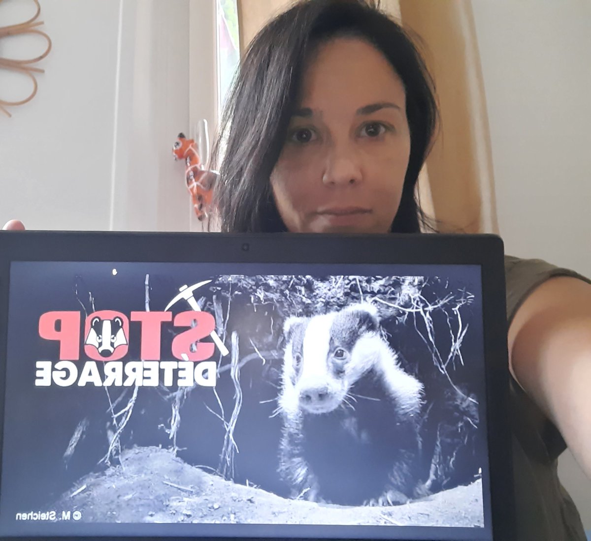 Muriel_FUSI's tweet photo. Signez la pétition pour l’interdiction du déterrage des blaireaux !
👉https://t.co/WahgJpfaaa
"Les blaireaux endurent des heures de stress pendant que les chasseurs creusent pour les atteindre. Ils sont mordus par les chiens, extraits avec des pinces, puis exécutés."
@ASPASnature https://t.co/kQOvs0w1ws